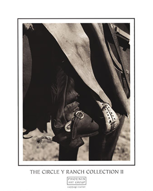 The Circle Y Ranch Collection II