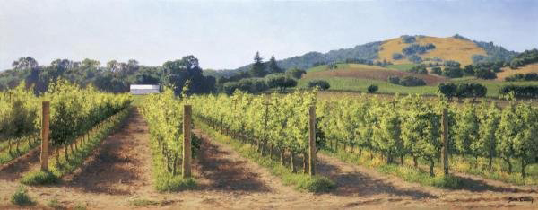 Northern  Vineyards