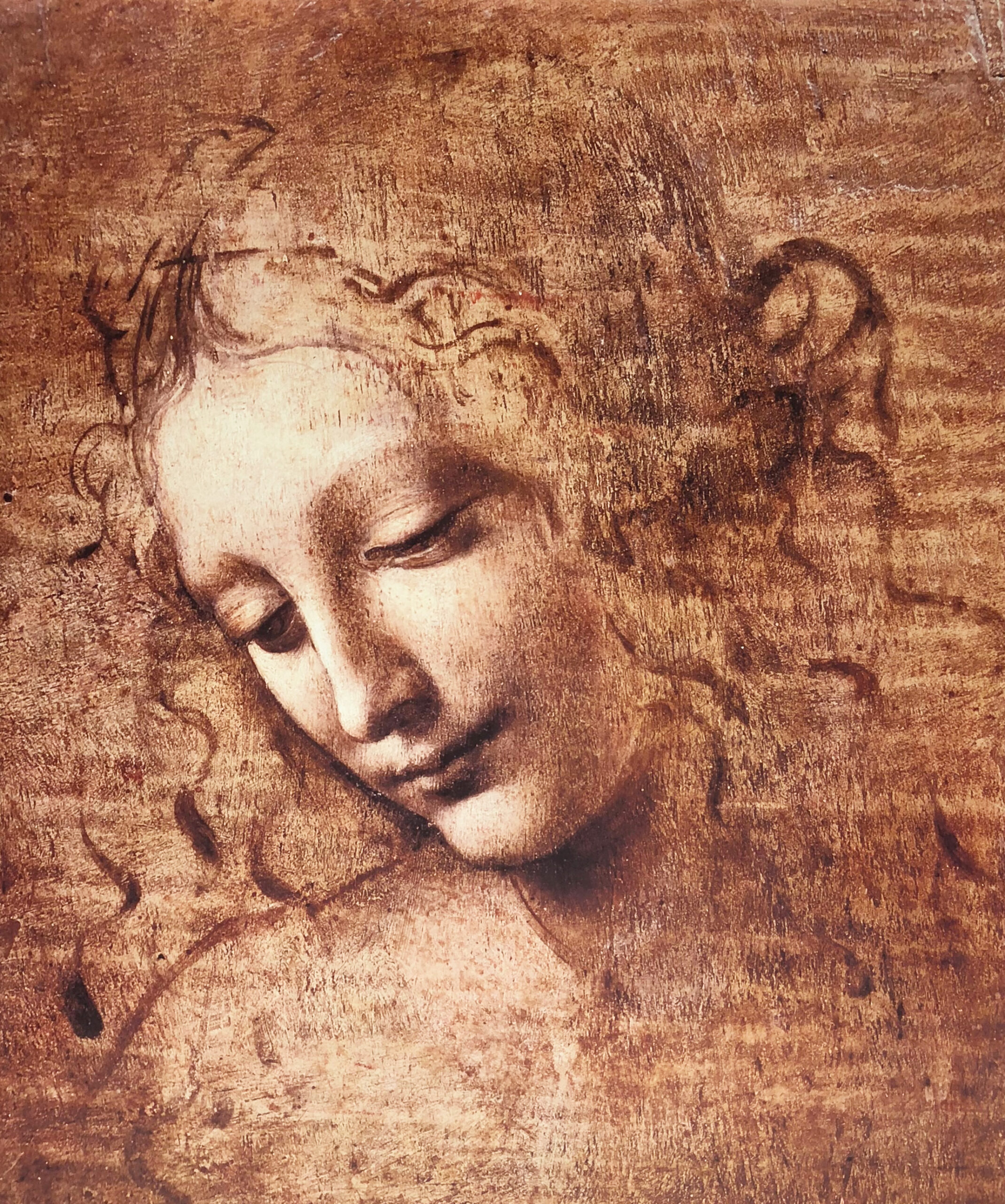 Testa di Faniculla Detta La Scapigliata