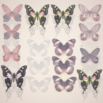 Floating Butterfly II