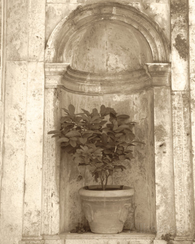 Villa Pienza I