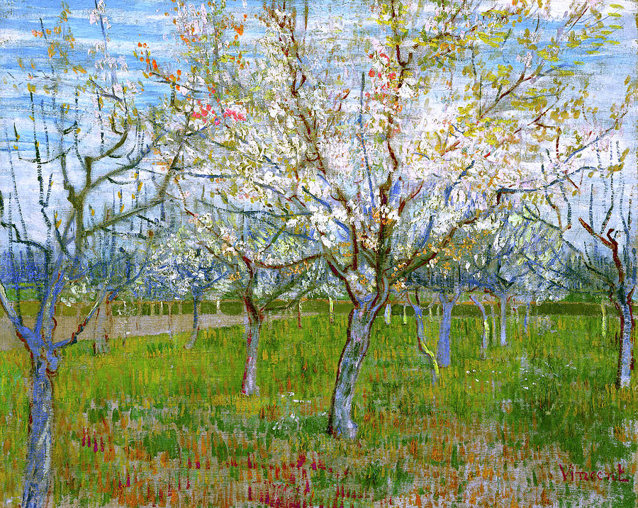 The Pink Orchard Arles 1888 1  Just Wall Decor The Pink Orchard Arles 1888