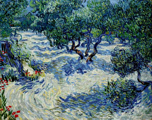 Olive Orchard 1889
