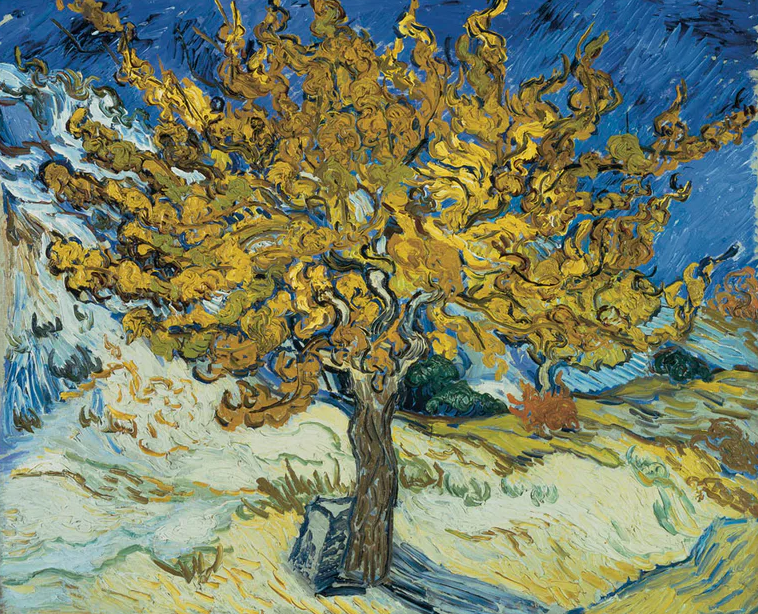 The Mulberry Tree 1889