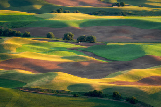 Colorful Palouse